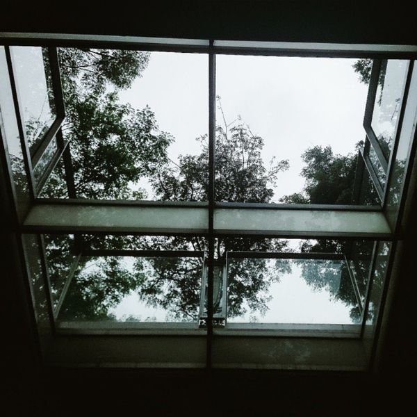 Skylight Window